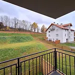 Sunny Hill , *