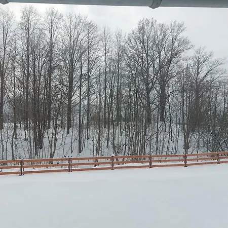 Апартаменты Sunny Hill ,