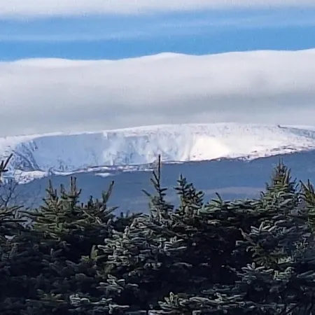 Апартаменты Sunny Hill , *