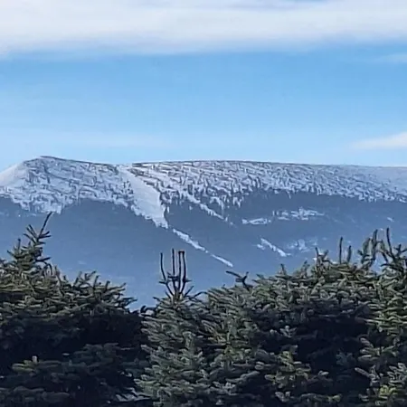 Sunny Hill ,