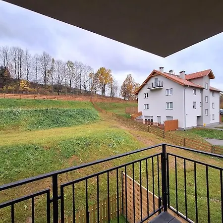 Sunny Hill , *