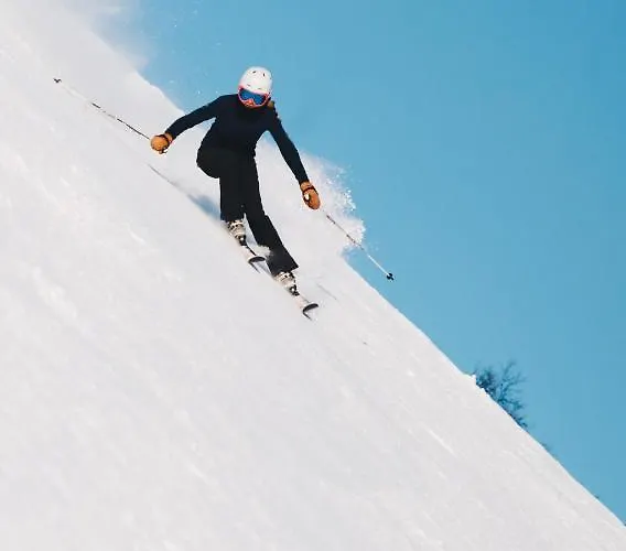 Sunny Hill , * 코바리