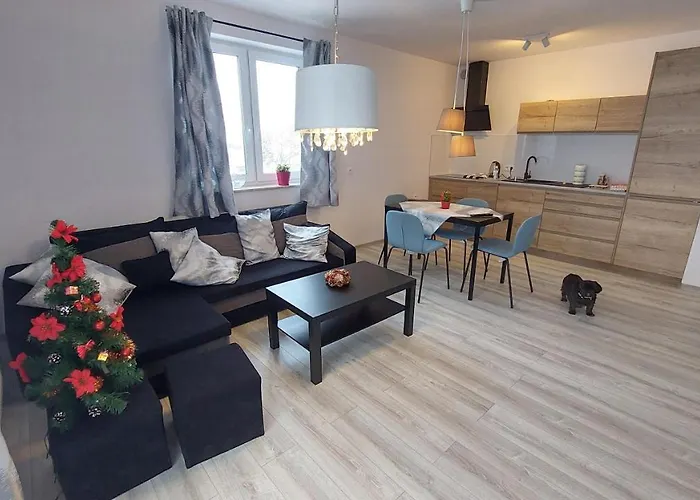 Sunny Hill , 코바리