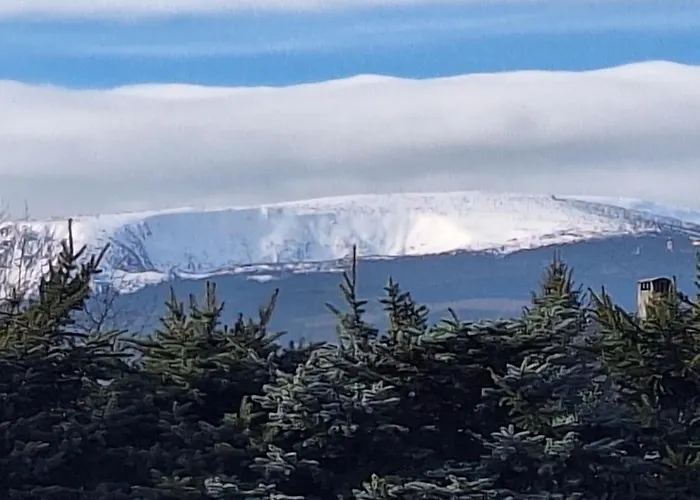 公寓 Sunny Hill , *