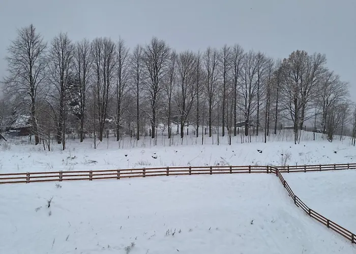 Sunny Hill , Appartement *